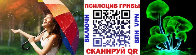 Галлюциногенные грибы ЛСД  Суворов 