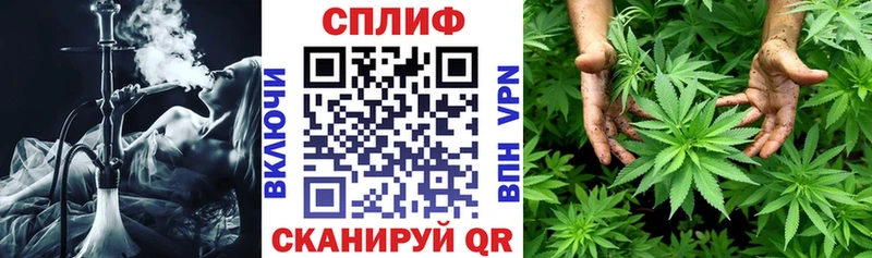 Бошки марихуана OG Kush Суворов